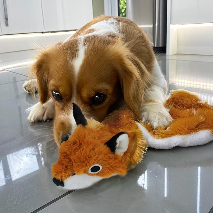 Best Pet Supplies Squeaky Dog Toys with Soft Durable Fabric for Small, Medium and Large Pets Interactive Toy for Indoor Play, Supports Active Biting and Play - Fox, Small