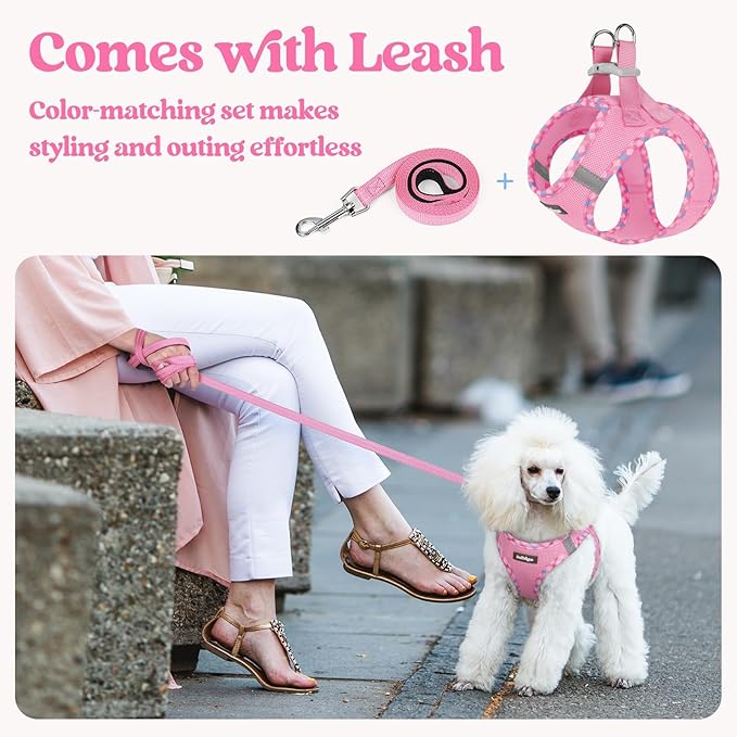 rabbitgoo Dog Harness Small Sized and Leash Set, Step in Soft Light Puppy Vest, Breathable Mesh Pet Harness, Reflective for Safe Easy Walking, Pink & Plaid Trim S