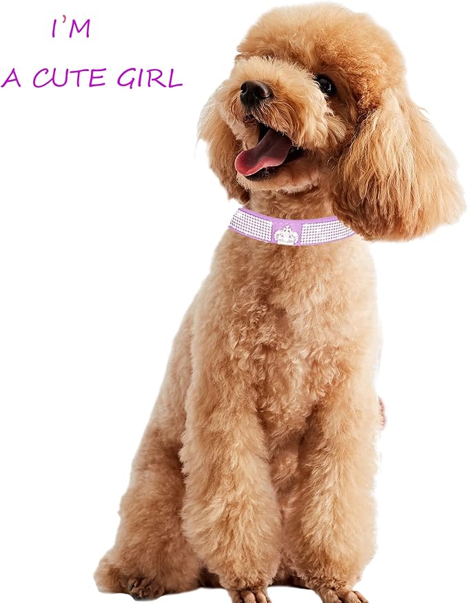 Dog Collar for Small Dogs, Adjustable Leather Suede Bling Dog Collars，Pink Dog Collar Cat Collar, Rhinestone Dog Collar (XS, purple3)