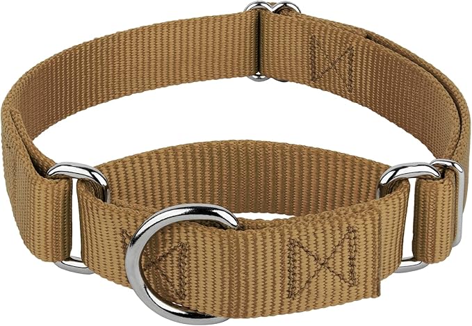 Country Brook Petz - Martingale Dog Collar - Heavy-Duty Training Collar with No Buckle - Service Dog Collar for All Pups - 10+ Warm Colors (Coyote Tan, 3/4 Inch, Small)