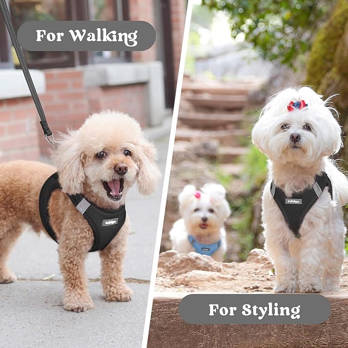 rabbitgoo Small Dog Harness, Step-in Soft Mesh Puppy Vest with Safety Buckle, Breathable Reflective Pet Harness for Large Dogs, Black XXL
