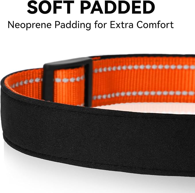 Soft Reflective Dog Collar for Extra Small Dogs, Lightweight Adjustable Puppy Collar with Neoprene Padding, Gentle Nylon for Chihuahua Yorkie,Orange,XS