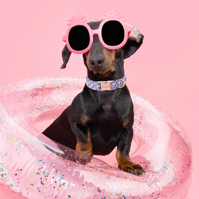 Unique style paws Valentine's Day Dog Collar Metal Buckle Collar Blue Pink Love Heart Gift for Small Medium Large Boys Girls Dogs Wedding