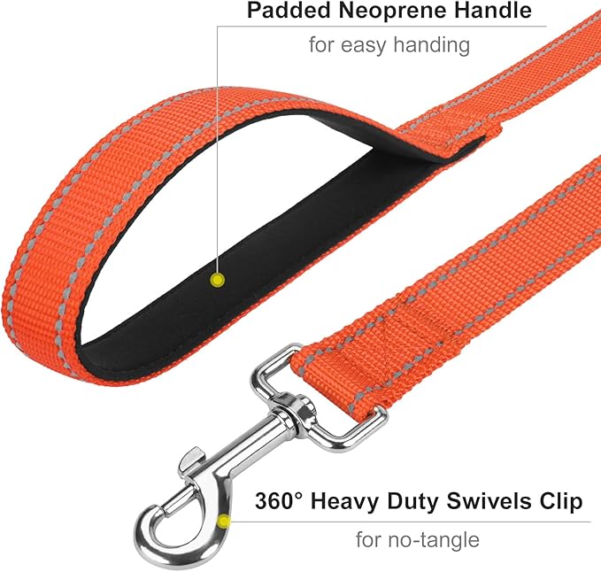 Reflective Dog Leash 6ft Soft Padded Handle Nylon Lead for Small & Medium Dogs, Durable Walking Training Leash for Night Safety (Orange,3/4Inch Wide)