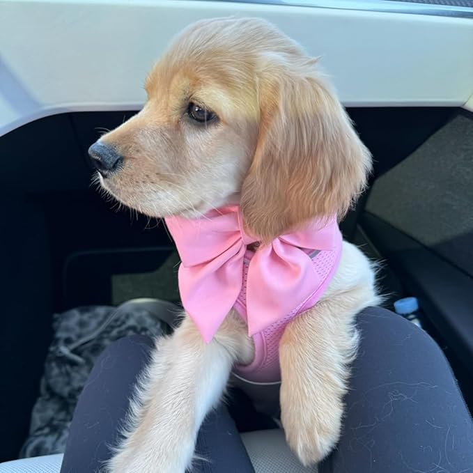 Maca Bates Cherry Pink Dog Collar with Cute Solid Sailor Bow Tie for Medium Girl Boy Dogs,Girly Adjustbale Durable Breakaway Soft Collars with Bowtie for Female Male Puppy,Pet with Metal Buckle