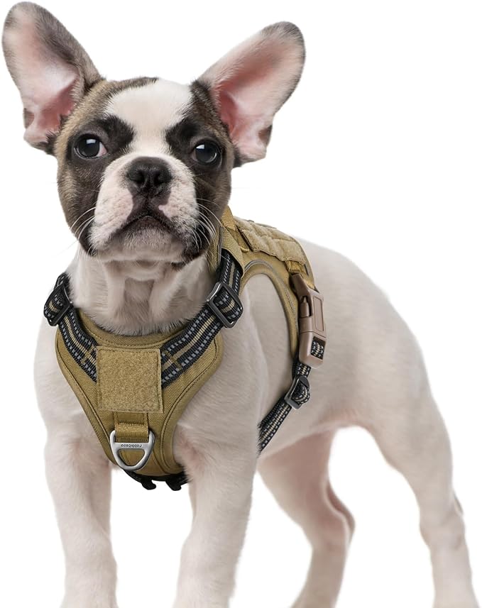 rabbitgoo Tactical Dog Harness for Small Dogs, No Pull Military Service Vest with Handle & Molle, Easy Control for Training Walking, Adjustable Reflective Straps, Brown, S
