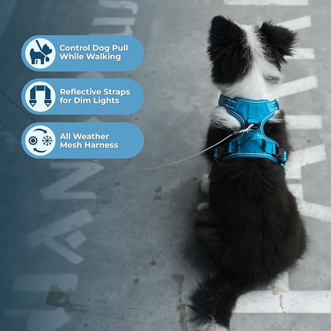 Voyager Dog Harness Dual Leash Attachment No-Pull Control Adjustable Soft but Strong Pet Harness for Medium and Large Dogs with 3M Reflective Technology, Leash Set Turquoise Nylon, M (Chest: 20-25")