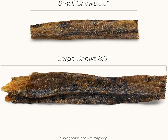 The Honest Kitchen Human Grade Ocean Chews™ Hearty Wolffish Skins Dog Treats, 3.25 oz (Beams™)