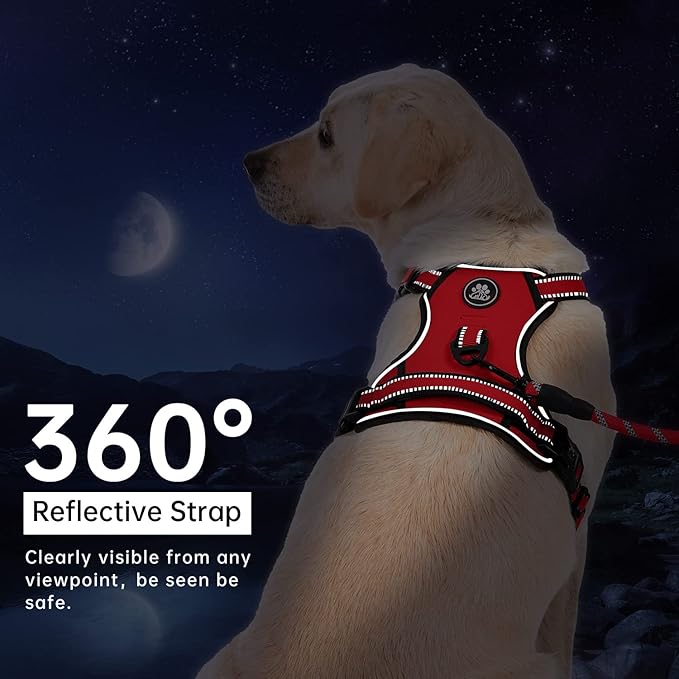 IVY&LANE No Pull Dog Harness for Large Dogs, Dog Vest Harness with Leash, Safety Belt and Storage Strap, Fully Adjustable Harness, 360° Reflective Strip, Soft Handle (Red, XL)