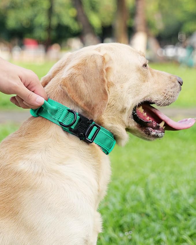 Joytale Tactical Dog Collar with Handle, Adjustable Heavy Duty Military Collar with 2 Patches for Training, Suitable for XLarge Dogs, Teal, XL