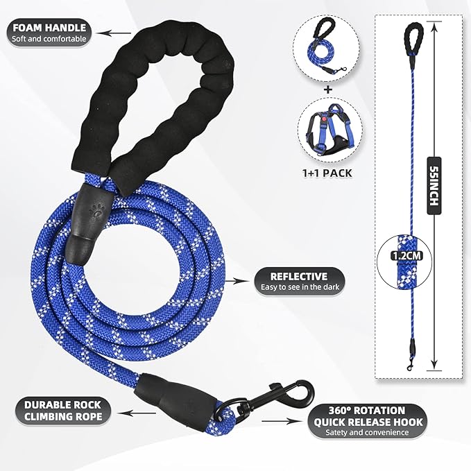 No Pull Dog Harness with A Free Heavy Duty 5ft Dog Leash, Adjustable Soft Padded Dog Vest, Reflective No-Choke Pet Oxford Vest with Easy Control Handle for Small and Large Dogs (Blue, Small)