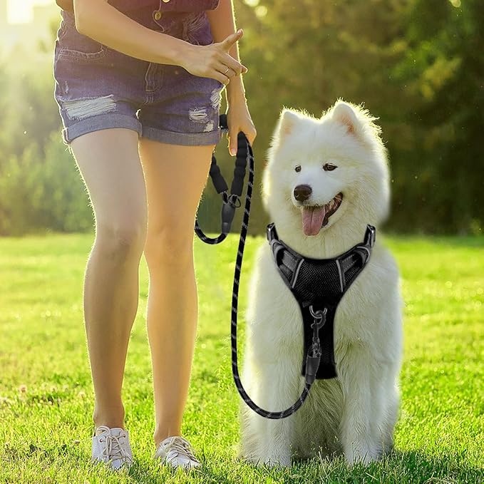 BARKBAY Dog Harness No Pull with ID Tag Pocket - Heavy Duty, Reflective, Easy Control for Large Dogs(Black,M)