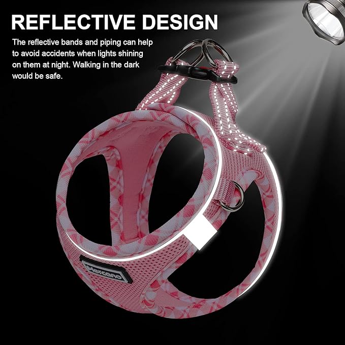 Mercano Soft Mesh Dog Harness and Leash Set, No-Chock Step-in Reflective Breathable Lightweight Easy Walk Vest Harnesses with Safety Buckle for Small Dogs, Cats (Pink, L)
