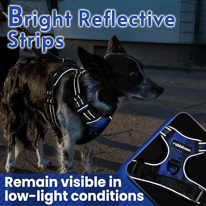 rabbitgoo Dog Harness No-Pull, Comfortable Padded Plaid Harness with Handle Easy Control, Adjustable Reflective Pet Vest with 2 Leash Clips for Small Dog, Blue Plaid, S
