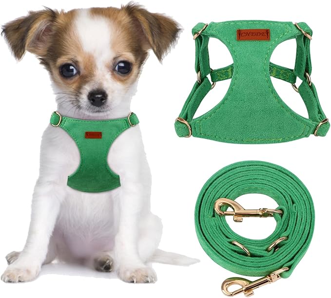 CHEDE No Pull Puppy Harness and Multifunction Dog Leash Set- 8 Colors Soft Adjustable No Choke Escape Proof Cute,Lightweight Pet Vest Harness for Small and Medium Dog (XXS, Green)