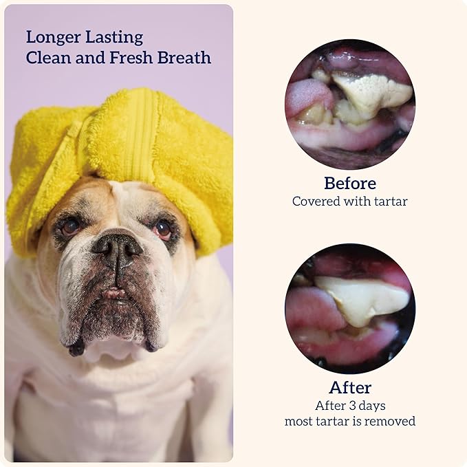 Groovies Slightly Softer, Yet Flexible Dental Chew for Senior Dogs & Delicate Chewers. Powered by USA-Patented DentalFit Tech. No Added Gluten, No Artificial Flavors or Colors. 27oz Large (27Chews)