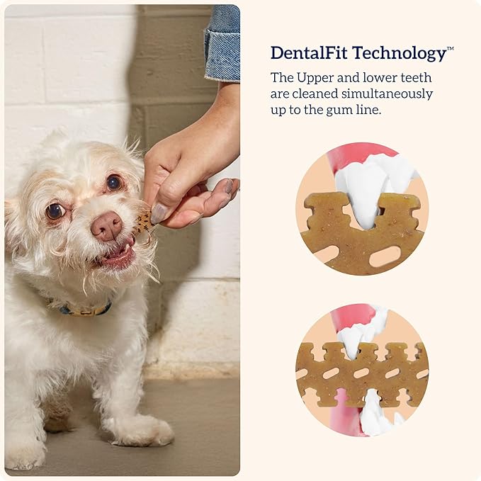 Groovies Slightly Softer, Yet Flexible Dental Chew for Senior Dogs & Delicate Chewers. Powered by USA-Patented DentalFit Tech. No Added Gluten, No Artificial Flavors or Colors. 27oz Large (27Chews)