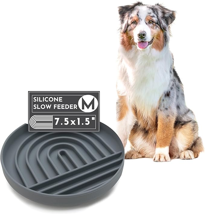 Should We Go? Slow Feeder for Dogs & Puppies, The Slowdown Bowl Silicone Slow Eating, Modern Lick Mat Design, Reduces Gulping, Fits 2 Cups, 7.5” Across x 1.5” Tall, Mealtime Challenge, Medium-Charcoal