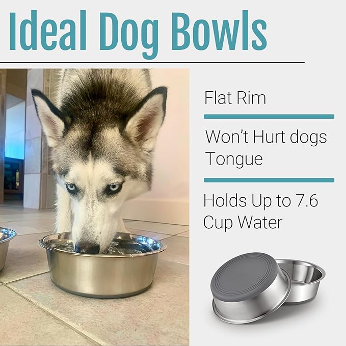 PEGYY11 Nonslip Stainless Steel Dog Bowls, 7.6 US Cup, 2 Count