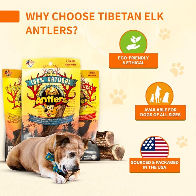 Tibetan Dog Chew Antler