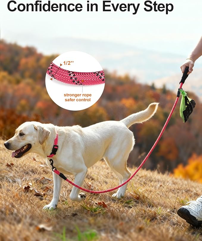 Joytale Dog Leash for Large Dogs, Heavy Duty Nylon Leashes with Comfortable Padded Handle and Highly Reflective Threads, Ideal for Walking and Training, Pink, 6'횞1/2''