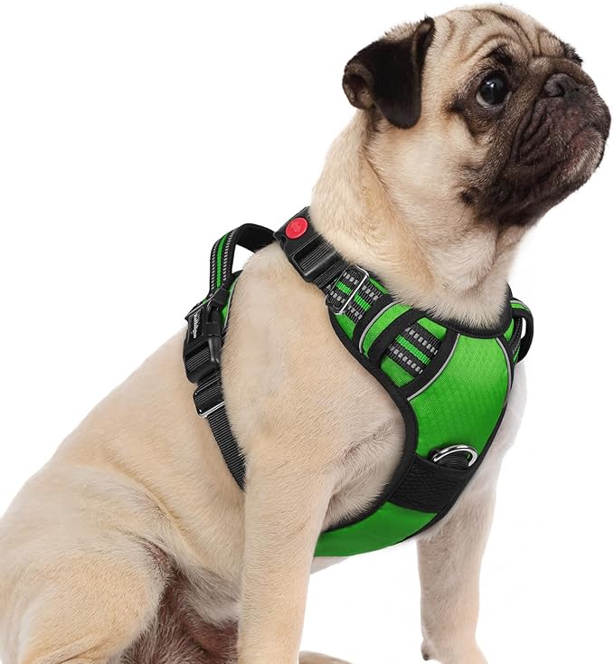 rabbitgoo Dog Harness Small Sized, No Pull Dog Vest with 3 Buckles, Adjustable Soft Padded Pet Harness with Easy Control Handle and Reflective Strips, Green, S