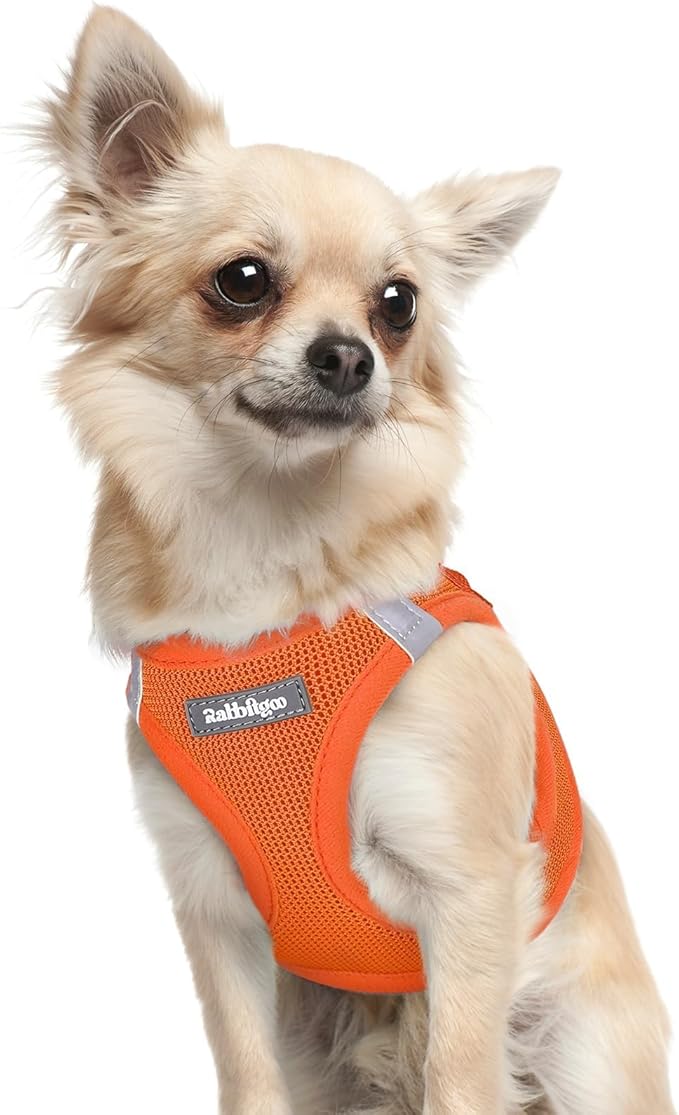 rabbitgoo Small Dog Harness, Step-in Soft Mesh Puppy Vest with Safety Buckle, Breathable Reflective Pet Harness for Extra Small Dogs, Orange XXXS