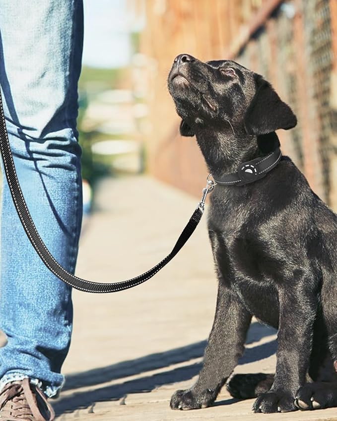 Reflective Dog Leash 4ft Soft Padded Handle Nylon Lead for Small & Medium Dogs, Durable Walking Training Leash for Night Safety (Black,1Inch Wide)