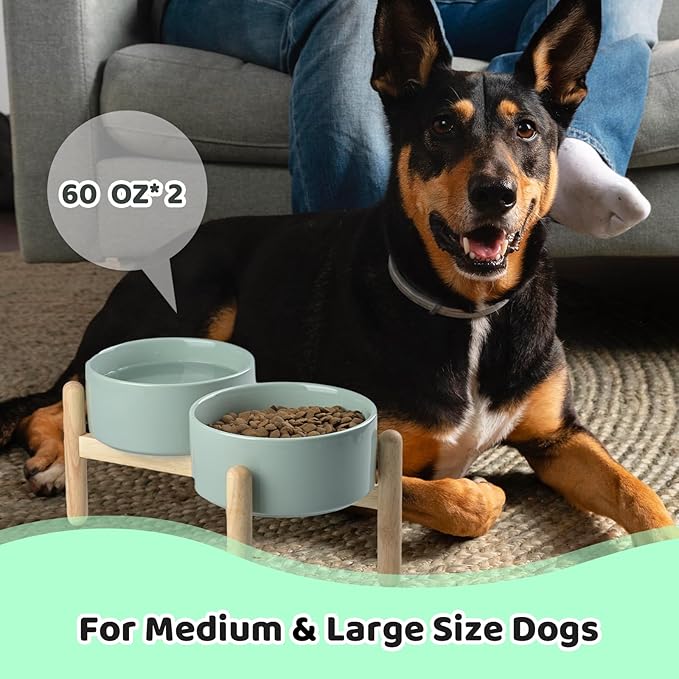 SPUNKYJUNKY Ceramics Elevated Dog Bowls with Wooden Stand Raised Bowl for Medium Large Dog Food and Water Pet Feeding Bowl(Double 60OZ Bowls,Light Green)