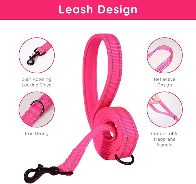 BELLA & PAL Step in Vest Harness for Small and Medium Dogs, No Pull Small Dog Harness with Leash Set, Comfortable Air Mesh Dog Vest Harness with Reflective Strip (Hot Pink, XXS)