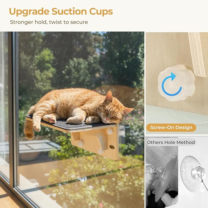 Pecute 2-in-1 Cat Window Perch & Wall Shelves, Cat Hammock Window with Solid Wood, Strong Suction Cup, Washable Cover Mat, Kitten Window Seat Indoor, Cats Perch Bed for Birds Watching Inside,16"x10"