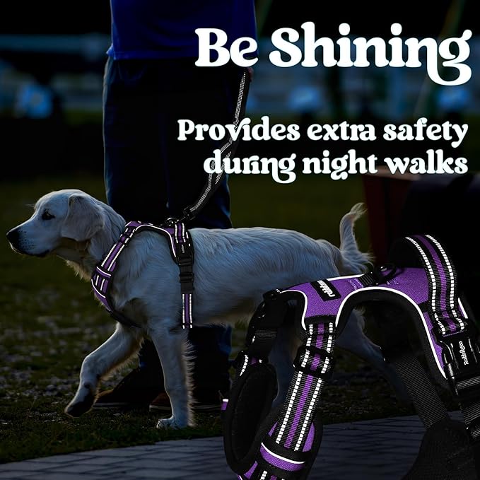 rabbitgoo Dog Harness for Large, No Pull Pet Harness with 3 Buckles, Adjustable Soft Padded Vest with Control Handle, Walking Reflective Pet Vest for Extra Large Dogs, Purple, XL