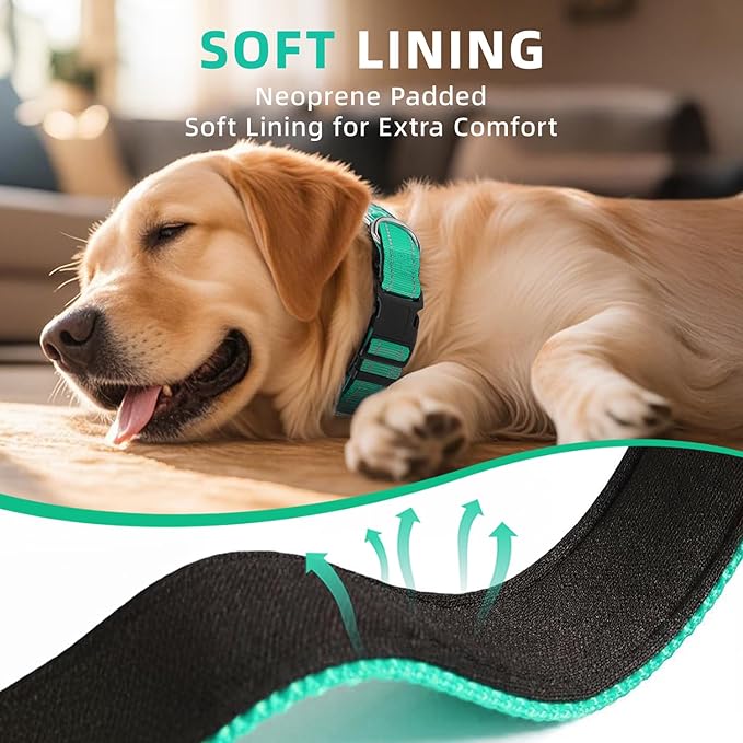 Reflective Dog Collar for Extra Large Dogs, Adjustable Collar with Soft Neoprene Padded, Durable Buckle for Daily Walking,Teal,XL