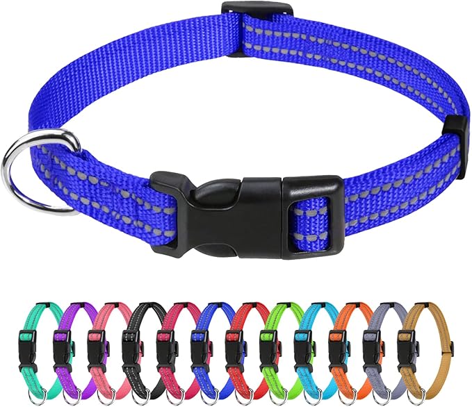 TagME Reflective Nylon Dog Collars, Adjustable Classic Dog Collar with Quick Release Buckle for Puppy, Royal Blue, 3/8in Width (XS)