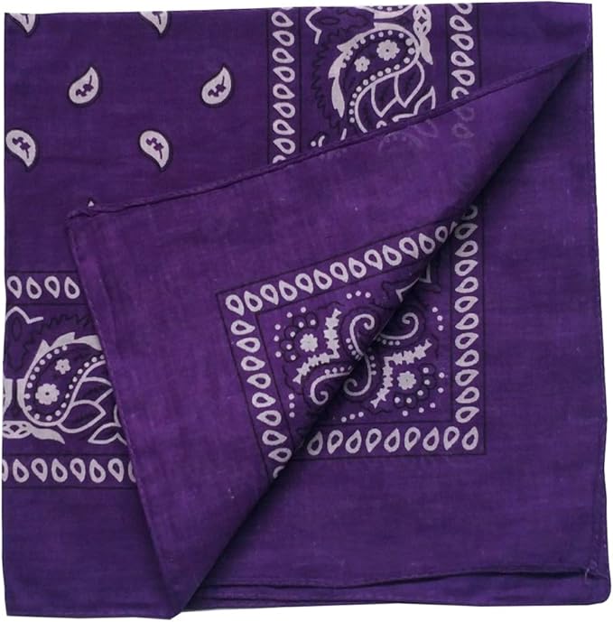 combocube 12 Pack(one Dozen) Multi-Purpose Cotton Paisley Cowboy Bandanas Headband for Men and Women