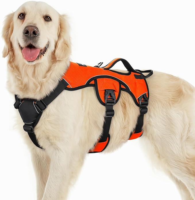 rabbitgoo Escape Proof Dog Harness, Soft Padded Full Body Pet Harness, Reflective Adjustable No Pull Vest with Lift Handle and Leash Clip for Large Dogs Walking Hiking Training, L, Orange