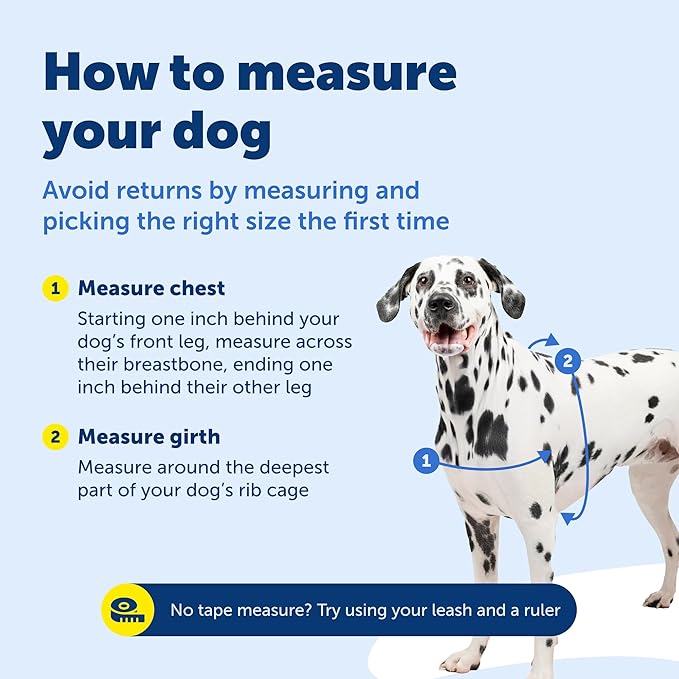 PetSafe Deluxe Easy Walk Harness - Trainer-Trusted Dog Chest Harness with Breathable Martingale Loop Design - Helps Stop Pulling with No Choking & Gagging - Small - Rose