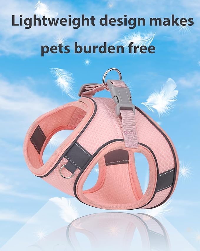 Dog Harness for Small Medium Sized Dog, Step in Puppy Harness and Leash Set Training Walking. (Peach, L)