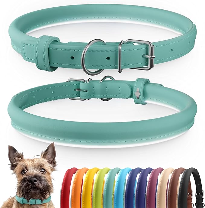 CollarDirect Rolled Leather Dog Collar, Soft Padded Round Puppy Collar, Handmade Genuine Leather Collar Dog Small Large Cat Collars 13 Colors (8-11 Inch, Mint Green Smooth)