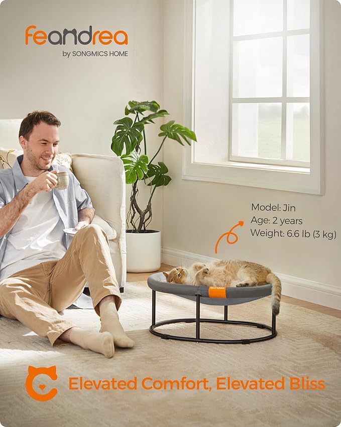 Feandrea Pet Bed, Cat Hammock, Elevated Cat Bed for Multiple Cats, with Removable Washable Mesh, for Pets up to 20 lb, Oval, Gray UPCB001G01