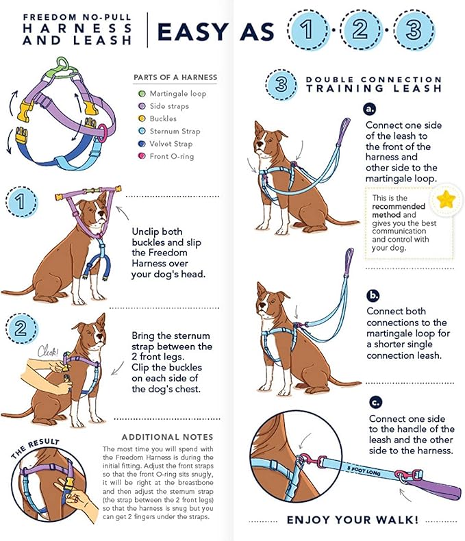 2 Hounds Design Freedom No Pull Dog Harness, Adjustable Harness and Leash Set, Easy Walking & Comfortable Control, Fits Small, Medium & Large Dogs, Solid Colors, Made in USA, 1" MD, Royal Blue