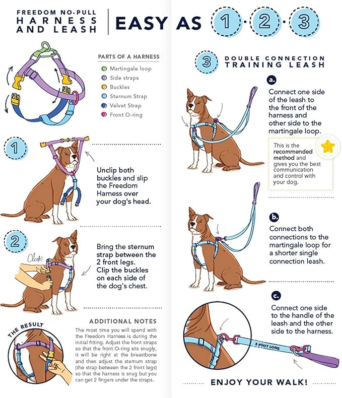 2 Hounds Design Freedom No Pull Dog Harness, Adjustable Harness and Leash Set, Easy Walking & Comfortable Control, Fits Small, Medium & Large Dogs, Solid Colors, Made in USA, 1" LG, Navy