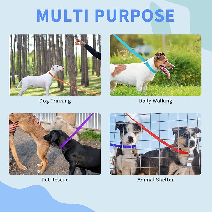 HOMIMP Slip Lead Dog Leash 6 FT- 24 PCS Bulk Colors Kennel Control Leashes for Small Medium Large Dogs Puppy Animal Rescue, Grooming - Heavy Duty Strong Nylon 6 Foot Long for Shelter, Vet, Training