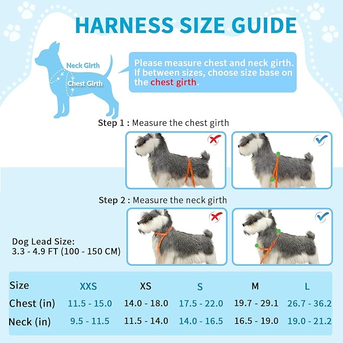 Lukovee Soft Padded Small Dog Harness (X-Small, Green) with 4ft Lightweight Leash, Adjustable Reflective Vest for Walking, Running, Hiking, Training