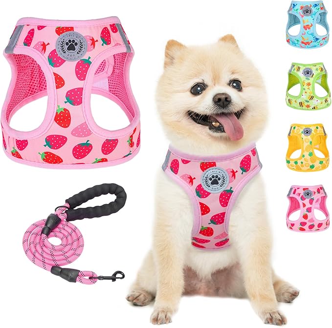 BEAUTYZOO Step in Dog Harness and Leash Set,Reflective Dog Harness No Pull No Choke Puppy Harness for Small Medium Large Dogs Cats,Soft Padded Mesh Vest Harnesses for Girl and Boy Pets, Strawberry S