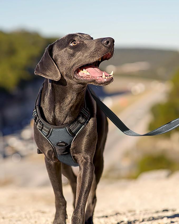 Joytale No Pull Dog Harness for Small Dogs, Reflective Pet Vest with Front Clip, Adjustable Soft Padded Harnesses with Easy Control Handle for Training and Walking, Gray, S