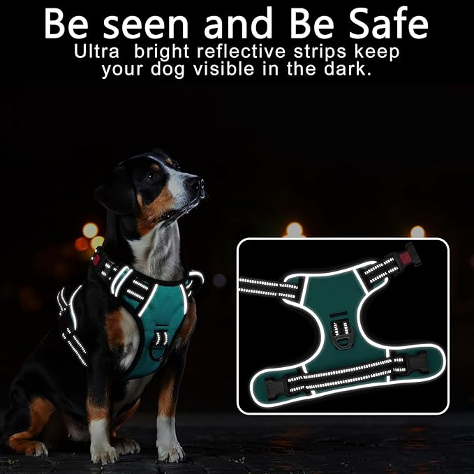 Timos Dog Harness, No-Pull Pet Harness with 2 Leash Clips, Adjustable Soft Padded Dog Vest, Reflective Outdoor Pet Oxford Vest with Easy Control Handle Turquoise