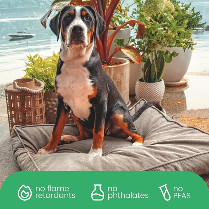 Molly Mutt Jupiter Dog Bed Duvet Cover, GOTS-Certified 100% Cotton Canvas Cover for Dog, Puppy, or Cat Bed, Durable, Washable, and Free of Harmful Chemicals, Huge, 36"x45"x5", Brown