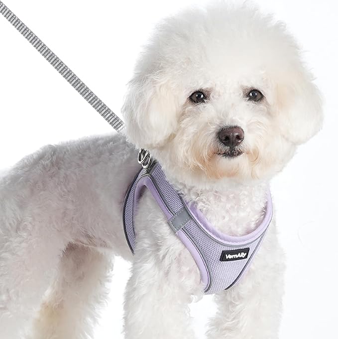 Sparkly Dog Harness Small Sized and Leash Set for Small Dogs Cats,Purple S Puppy Harness, Step in Soft Dog Reflective Vest, Breathable Mesh Pet Harness. (Purple, S)