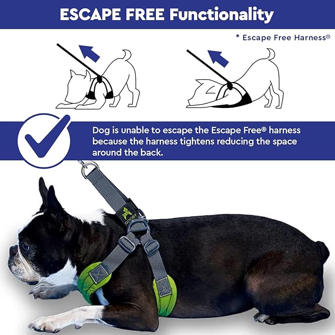 Gooby Escape Free Memory Foam Harness - Red, Small - No Pull Step-in Dog Harness with Four Point Adjustment for Small to Medium Dogs